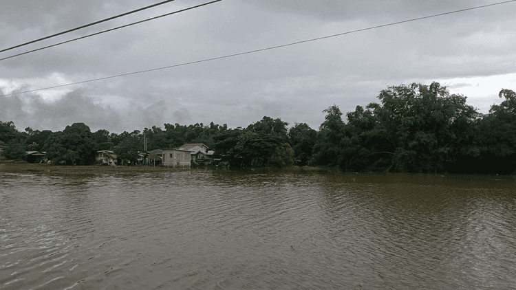 Palayan sa Paniqui, Tarlac lubog sa baha dahil sa habagat
