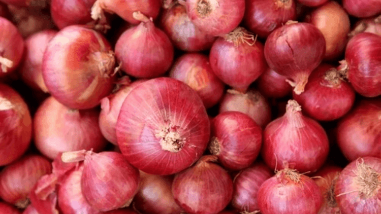 DA ipinasisira ang ₱86.7M halaga ng bulok na pulang sibuyas
