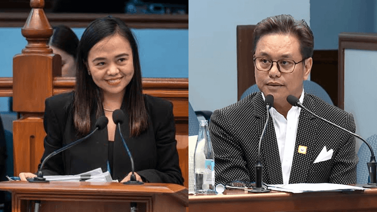Cabrera: Chel Diokno, lumapit sa kaniya upang maging testigo sa impeachment trial