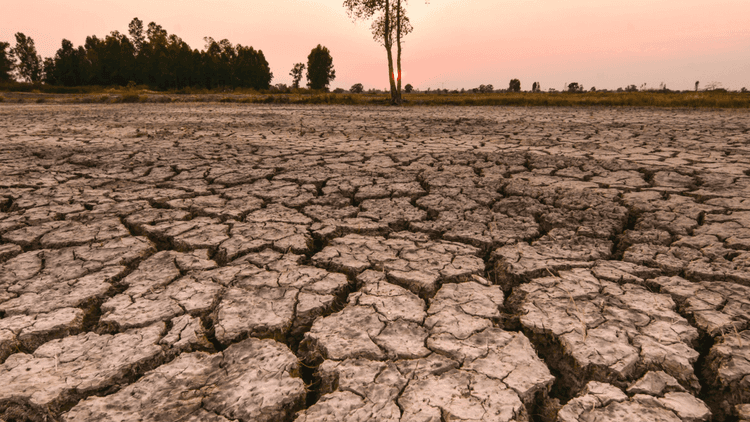 106 lugar sa bansa, nasa state of calamity dahil sa El Niño