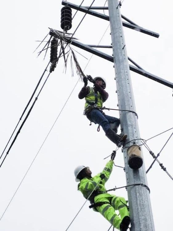 NGCP lifts yellow alert raised over Visayas grid 