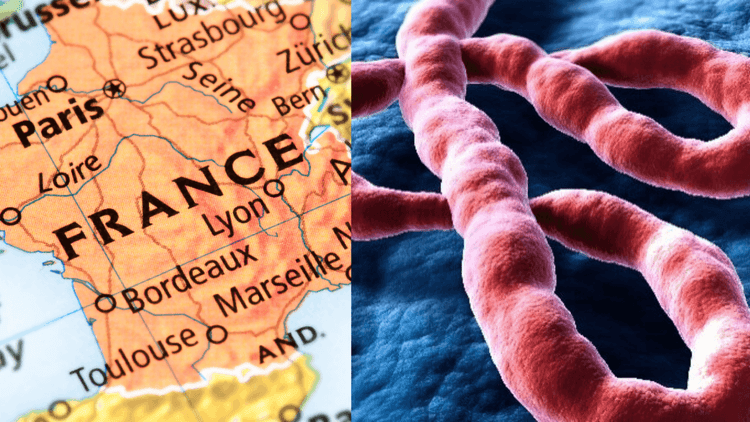 Unang kumpirmadong kaso ng Ebola naitala sa France