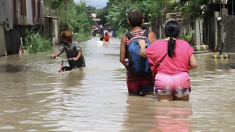 Higit 8,000 kaso ng leptospirosis, naitala