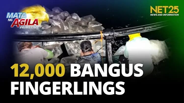 THpal, nagkaloob ng 12,000 bangus fingerlings sa Surigao del Norte