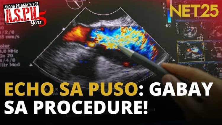 Importansya ng echocardiography | ASPN