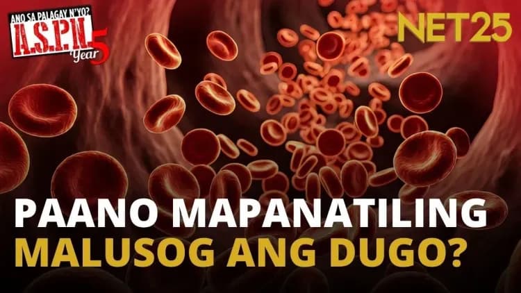 Dugo at kalusugan: Ano ang dapat malaman? | ASPN