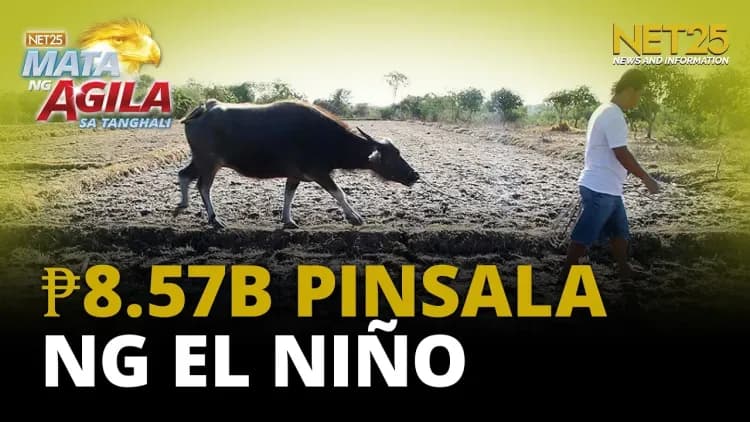 Pinsala ng El Niño sa agrikultura, umabot sa ₱8.57 bilyon