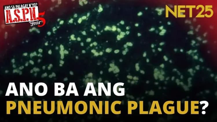 Ano ang dapat nating malaman tungkol sa pneumonic plague? | ASPN
