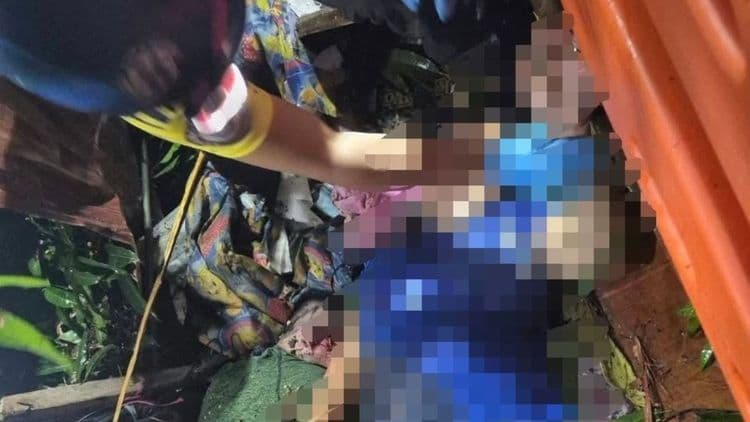 Dalawa patay sa pagbagsak ng mga puno sa bahay sa Davao
