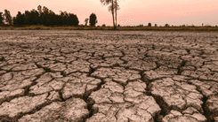 106 lugar sa bansa, nasa state of calamity dahil sa El Niño