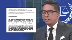 Panelo: “The country needs his resignation”
