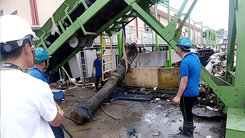 Malaking puno, nahango sa Tripa de Gallina Pumping Station