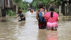 Higit 8,000 kaso ng leptospirosis, naitala