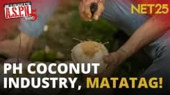 Iba’t ibang produktong gawa sa Philippine coconut, bibida sa 2026 Coconut Trade Fair | ASPN