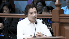 Atty. Poa: Subpoena sa bank records ni VP Sara ay ‘fishing expedition’
