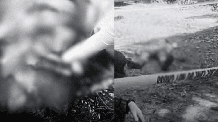 40-anyos na trabahador, patay matapos pagbabarilin habang nagtatrabaho sa palm plantation sa Sultan Kudarat