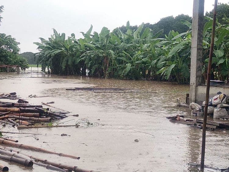 Palayan sa Tarlac, lubog sa baha