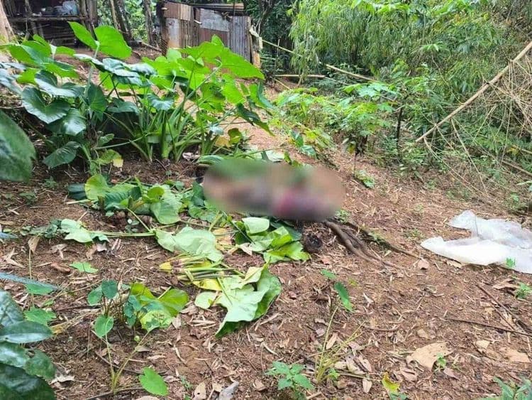 Lolo, ginilitan umano ng kapitbahay dahil sa alitan sa rambutan, patay