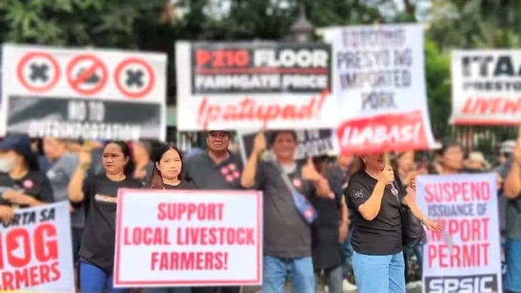 Mahigit 800 hog raisers, nagprotesta laban sa labis na importasyon ng baboy