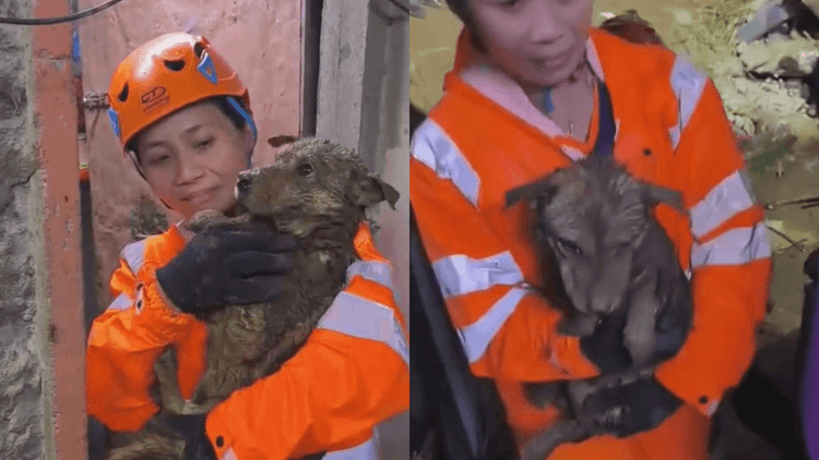 Aso nailigtas sa landslide sa Guisad Surong, Baguio City