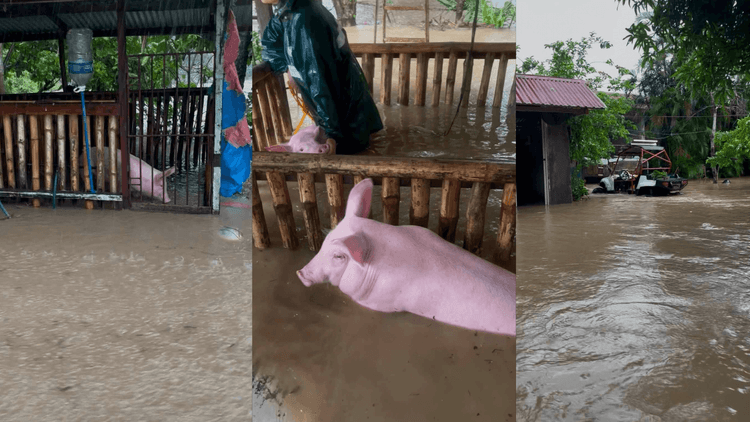Babuyan sa Romblon, lubog sa baha dahil sa habagat