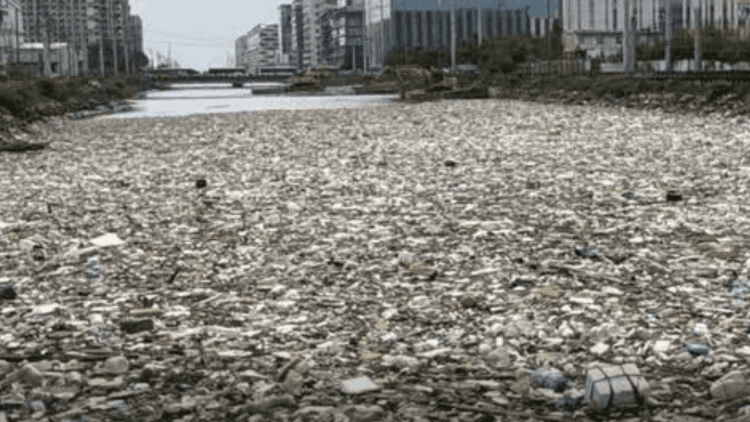 DENR, nakakolekta ng higit 1,000 sako ng basura sa mga daluyan ng tubig sa Metro Manila