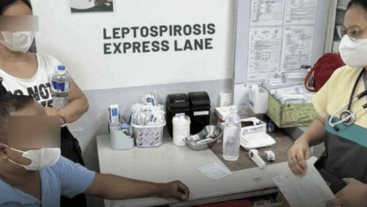 DOH, naglagay ng fast lanes para sa leptospirosis sa 33 ospital sa Luzon