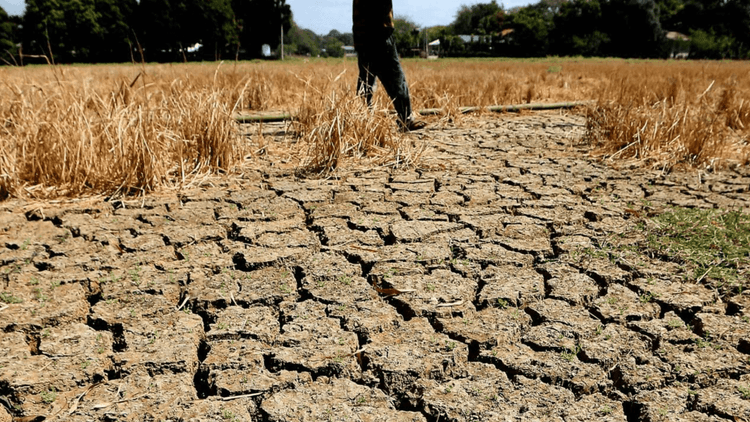 106 lugar sa bansa, nasa state of calamity dahil sa El Niño
