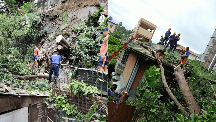 Lupa gumuho, puno natumba sa Mandaluyong City