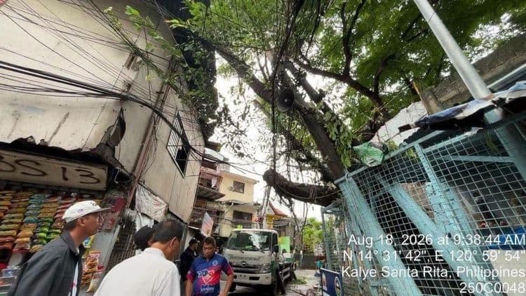 Malaking puno, tumumba sa Brgy. Baclaran, Parañaque City dahil sa lakas ng hangin at ulan