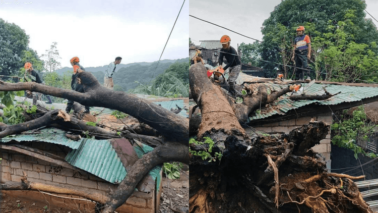 Mga puno, bumagsak sa Mariveles, Bataan dahil sa malakas na hangin at ulan