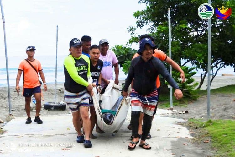 Endangered melon-headed whale, nasagip at pinangalanang "Uno" sa Sarangani