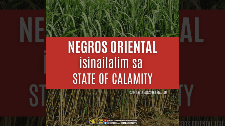 Negros Oriental, isinailalim sa state of calamity dahil sa paminsala ng red-striped soft scale insect sa mga tubuhan
