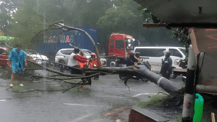 Puno bumagsak sa Roxas Blvd., Pasay dahil sa malakas na hangin at ulan