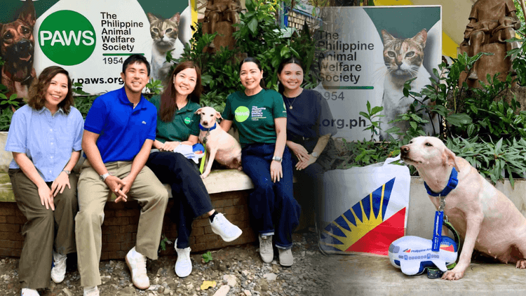 Rescued dog Felicia flies to U.S. to join adoptive family