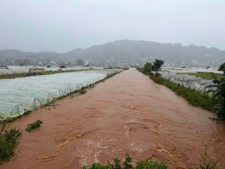 Strawberry farm sa La Trinidad, Benguet, lumubog sa baha dahil sa Bagyong Maymay at habagat