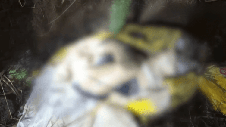 Babaeng nawawala nang limang araw, natagpuang patay sa loob ng sako sa Negros Occidental