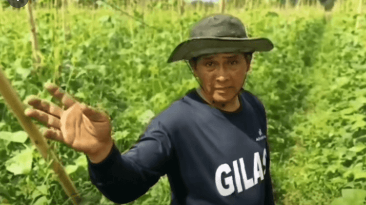 Magsasaka sa Bustos, Bulacan Hirap sa Mataas na Gastos