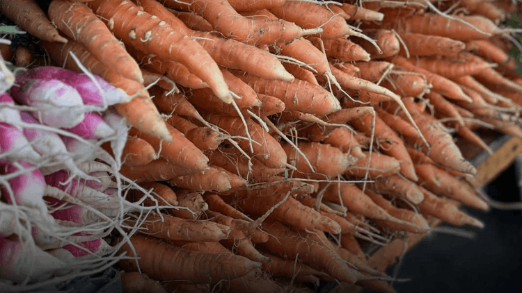 BOC, nagsampa ng reklamo vs 9 tauhan at 5 iba pa dahil sa smuggled na sibuyas at carrots
