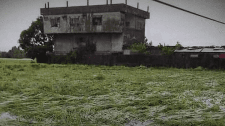Camarines Norte, nagdeklara ng state of calamity dahil sa krisis sa tubig, dengue, at El Niño