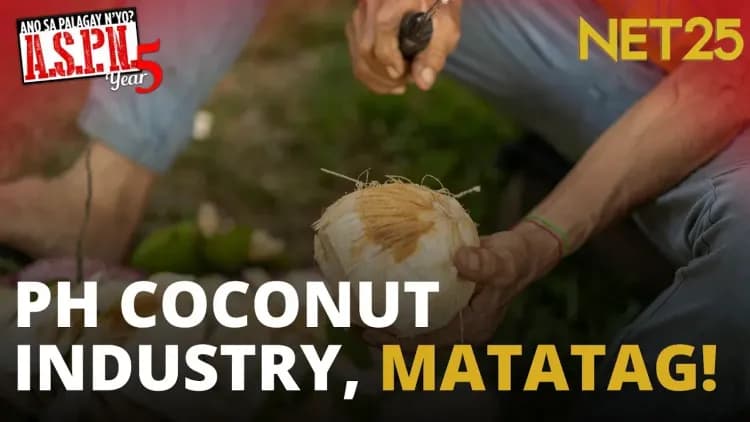 Iba’t ibang produktong gawa sa Philippine coconut, bibida sa 2026 Coconut Trade Fair | ASPN