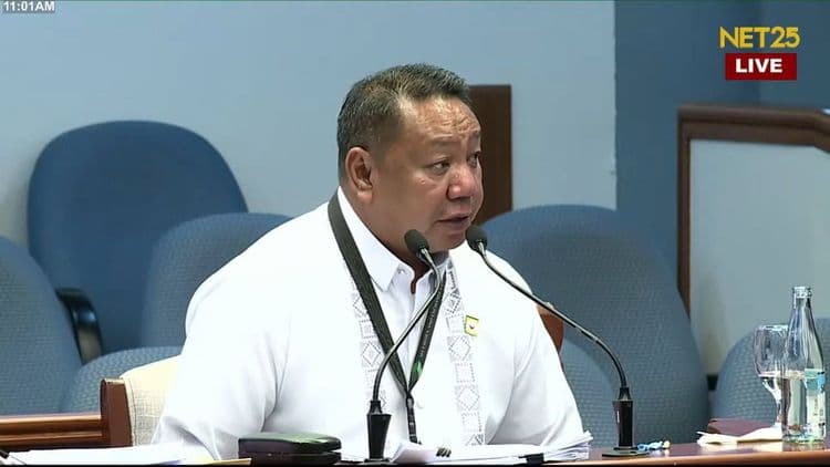 SEC Director Del Rosario: VP Sara Duterte, hindi naging corporate secretary sa mga GIS